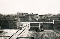 Lagerplatz mit Holzstämmen und Holzbalken ("Lagerplatz mit nordischem Weißholz/Fußbodendimensionen"), um 1910, Stadtarchiv Karlsruhe 8/Alben 418/6.
